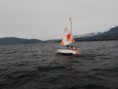 /album/les-photos-du-jeudi-3-octobre/voile-jeudi0003-jpg/